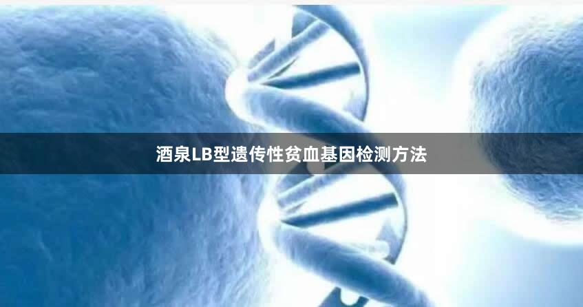 酒泉LB型遗传性贫血基因检测方法