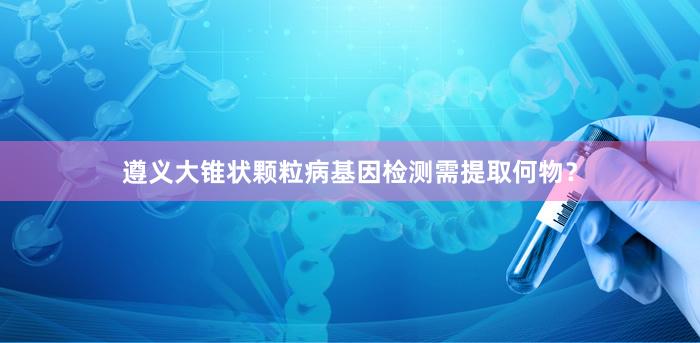 遵义大锥状颗粒病基因检测需提取何物？