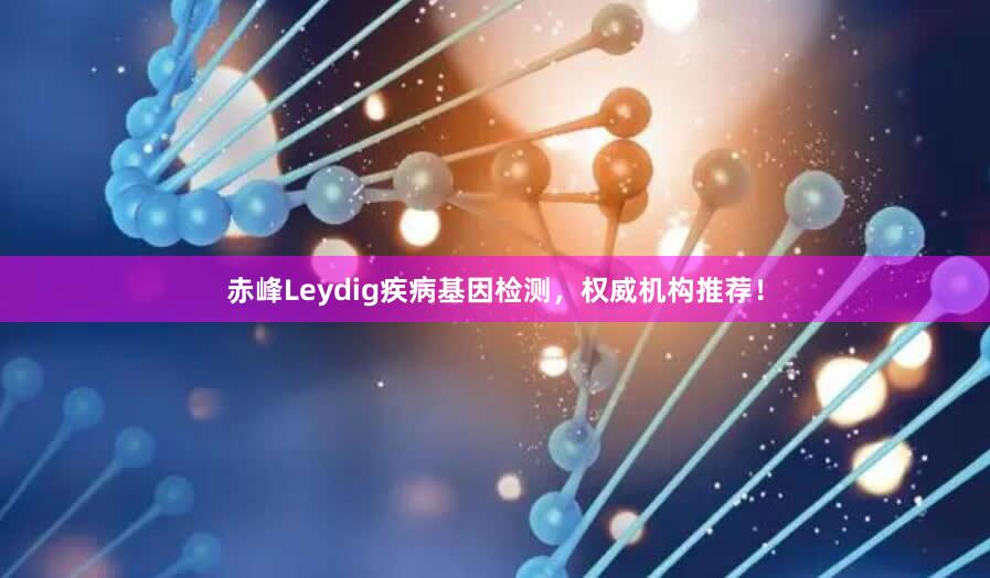 赤峰Leydig疾病基因检测，权威机构推荐！