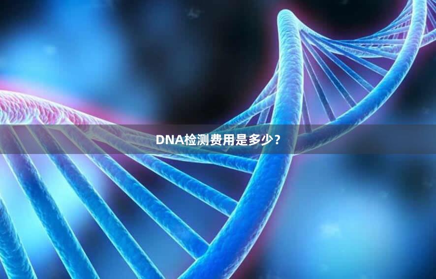 DNA检测费用是多少？