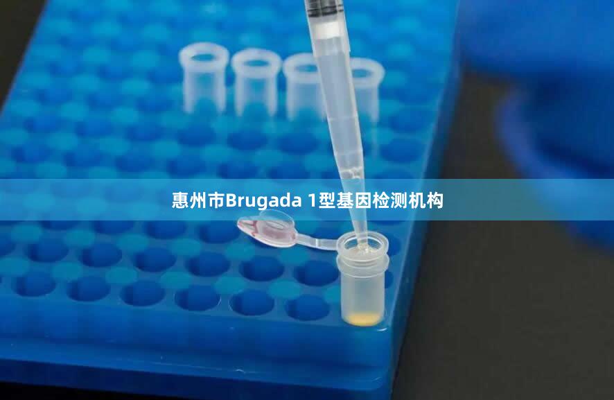 惠州市Brugada 1型基因检测机构