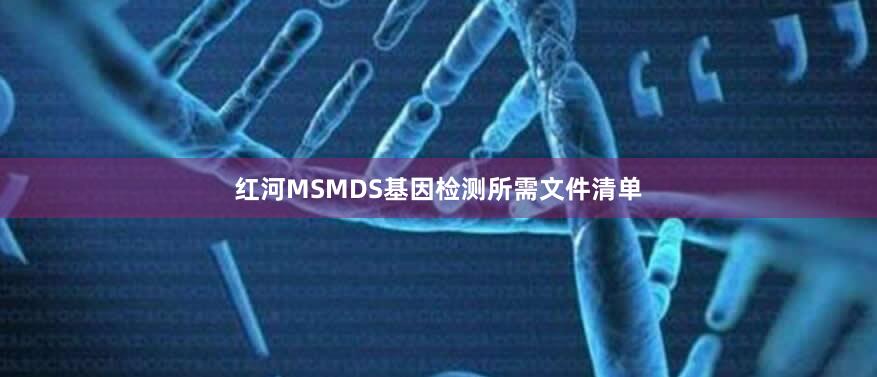 红河MSMDS基因检测所需文件清单