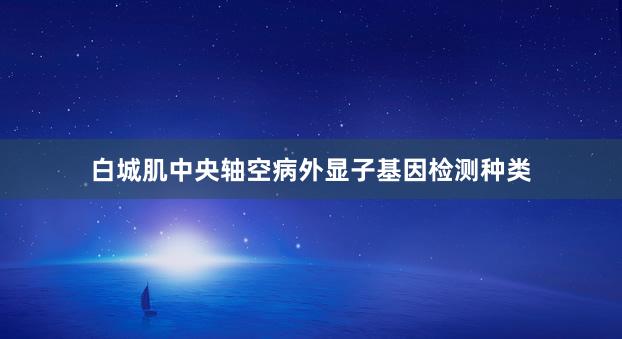 白城肌中央轴空病外显子基因检测种类