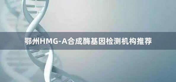 鄂州HMG-A合成酶基因检测机构推荐