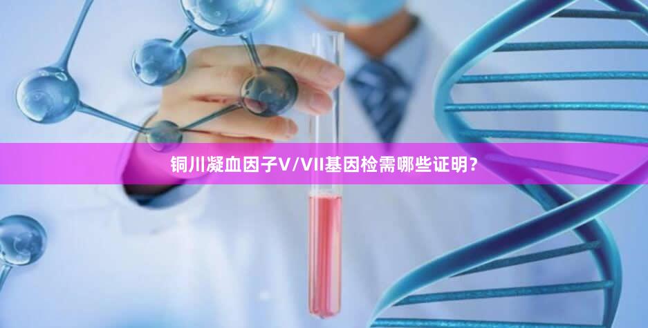 铜川凝血因子V/VII基因检需哪些证明？