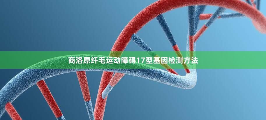 商洛原纤毛运动障碍17型基因检测方法