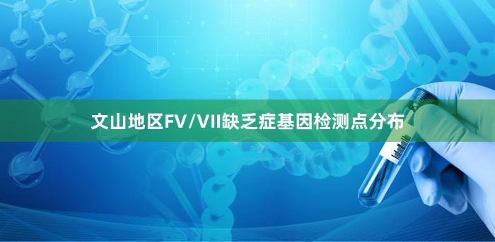 文山地区FV/VII缺乏症基因检测点分布