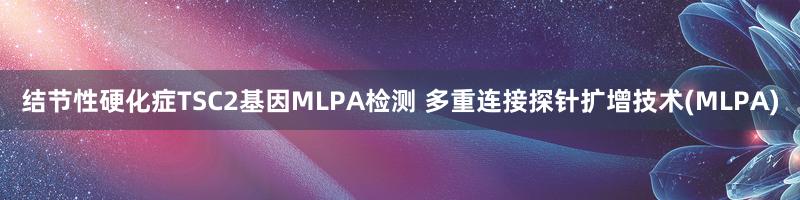 结节性硬化症TSC2基因MLPA检测 多重连接探针扩增技术(MLPA)
