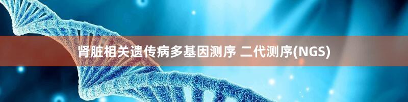 肾脏相关遗传病多基因测序 二代测序(NGS)
