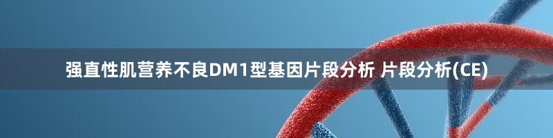强直性肌营养不良DM1型基因片段分析 片段分析(CE)