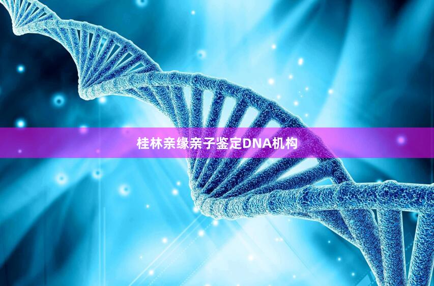 桂林亲缘亲子鉴定DNA机构