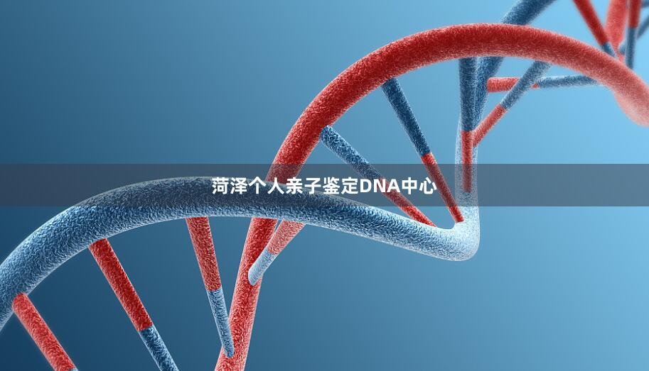 菏泽个人亲子鉴定DNA中心