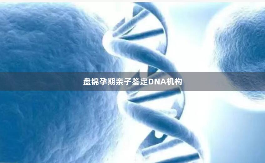 盘锦孕期亲子鉴定DNA机构
