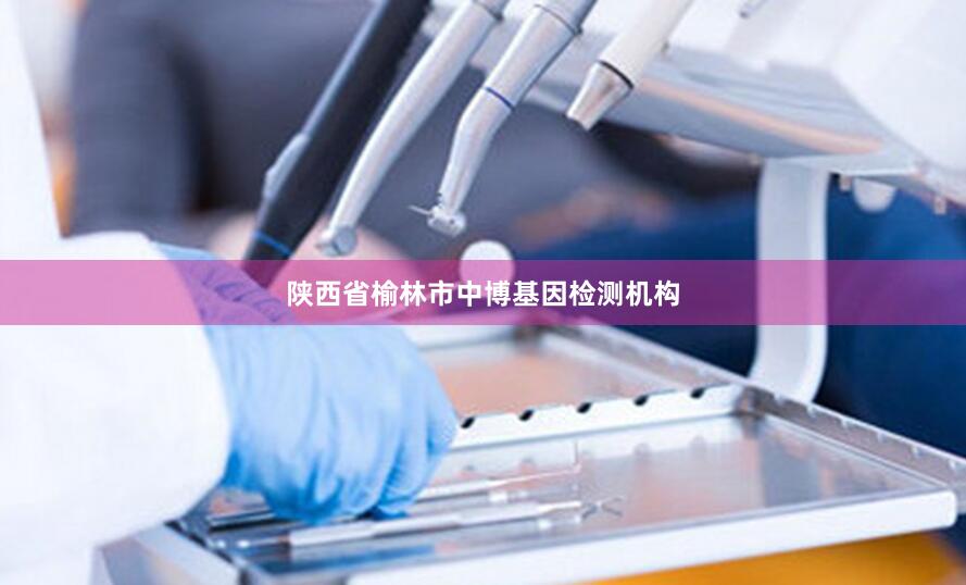 陕西省榆林市中博基因检测机构