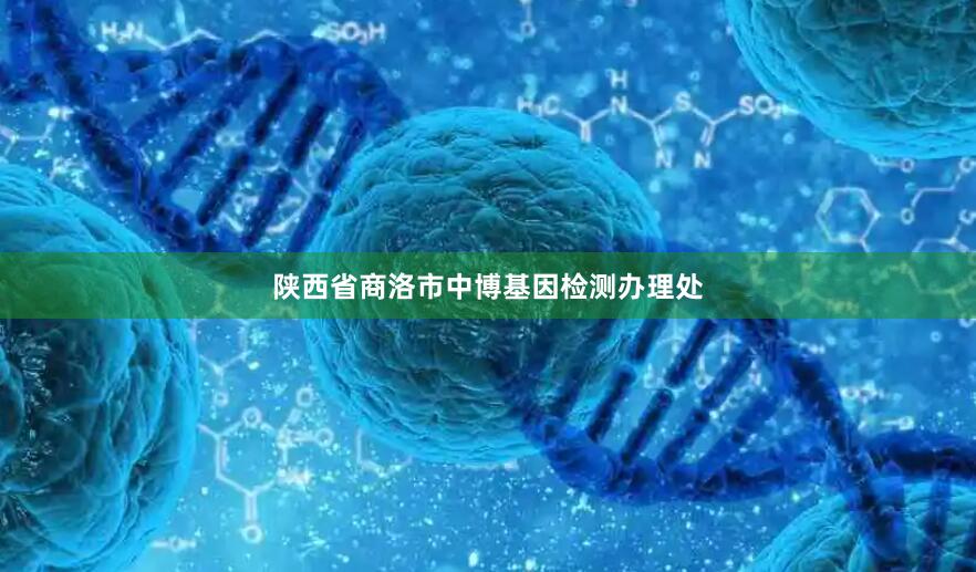 陕西省商洛市中博基因检测办理处